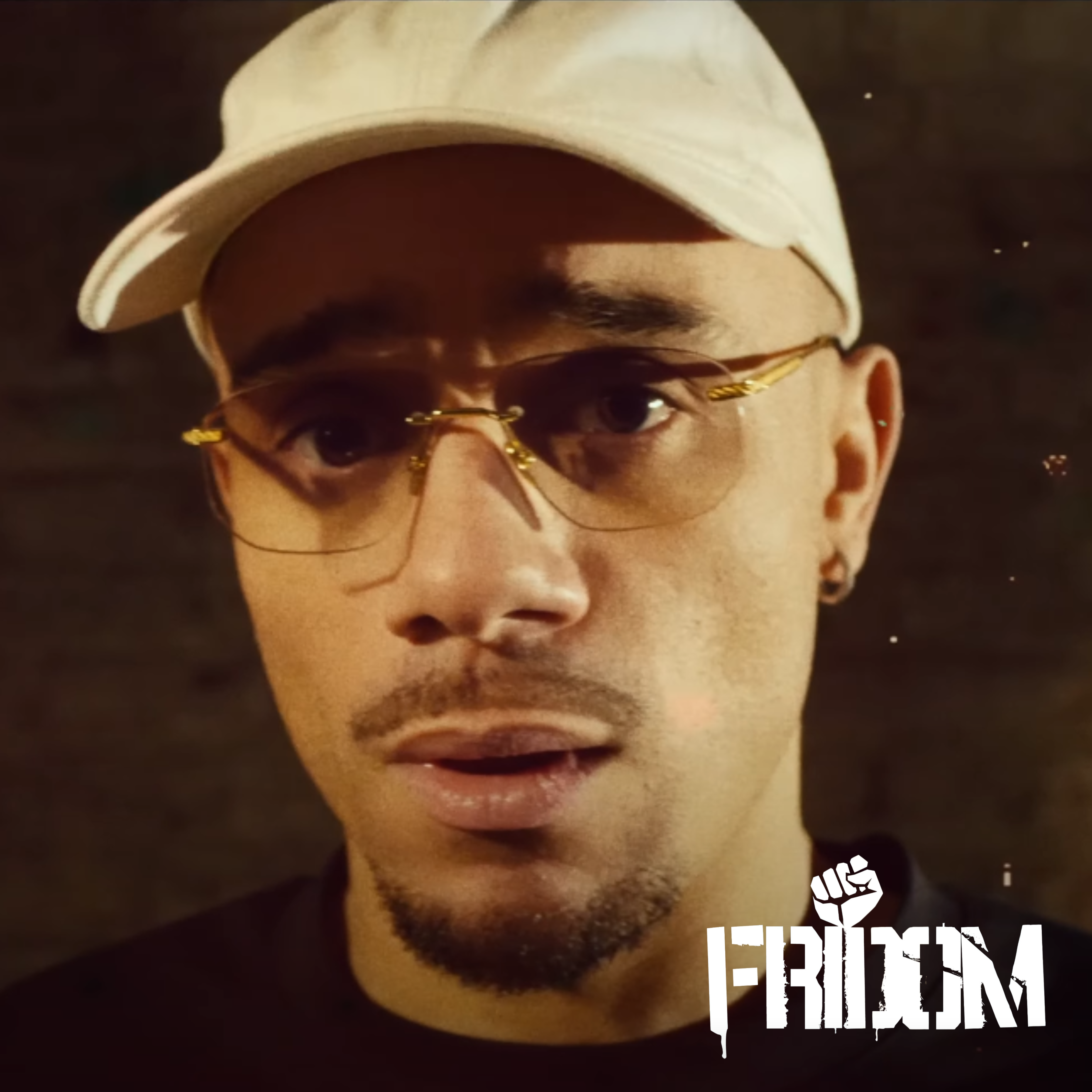 Mister v Fridom